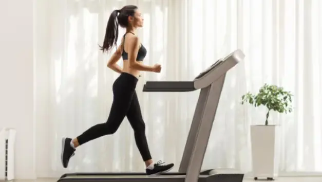 Elliptical versus Treadmill: Which 1 is Best for Weight Loss?